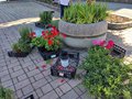 Diamo un colre alla piazza (7)