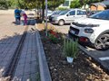 Diamo un colre alla piazza (9)