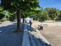 Diamo un colre alla piazza (2)