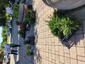 Diamo un colre alla piazza (6)