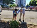 Diamo un colre alla piazza (44)