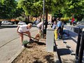 Diamo un colre alla piazza (26)