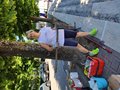 Diamo un colre alla piazza (16)