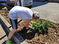 Diamo un colre alla piazza (50)
